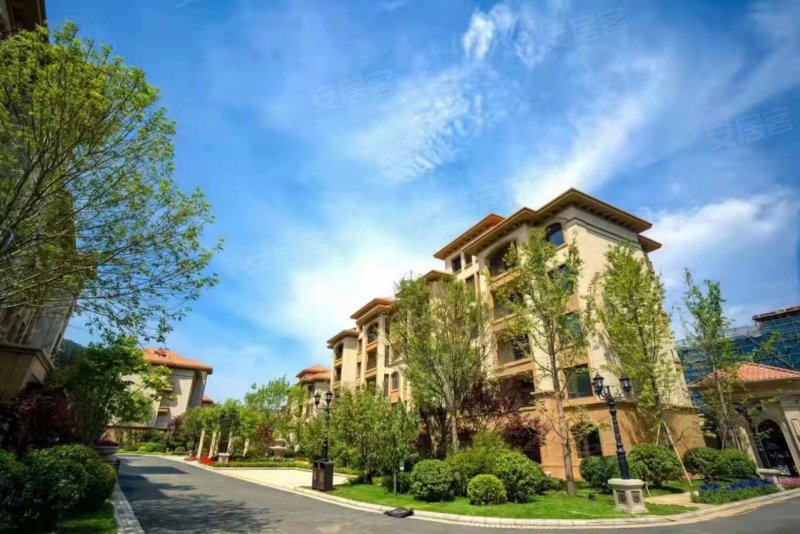 鲁能泰山9号,滇池路-大连鲁能泰山9号二手房,租房,房价-大连安居客