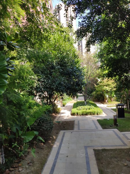 金辉城耀江府,揽湖路52,54号-重庆金辉城耀江府二手房,租房,房价-重庆