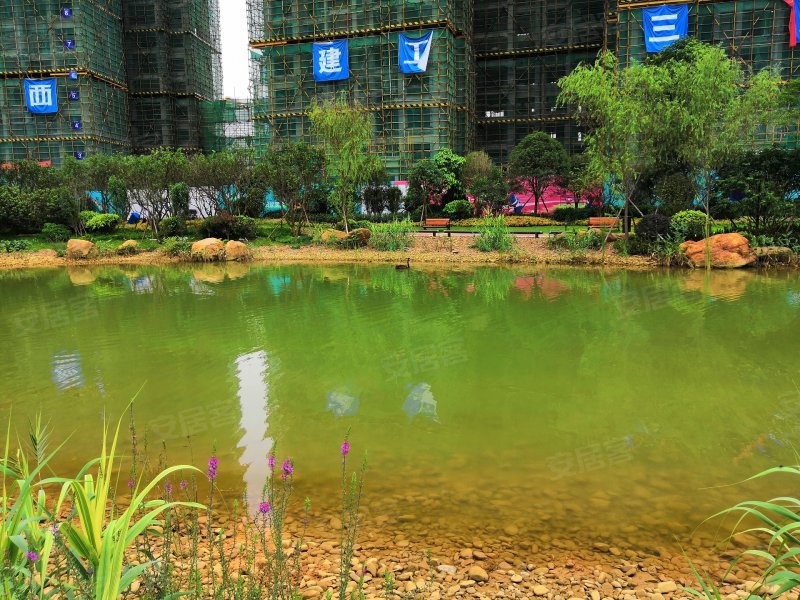 香颂蔚澜半岛,新柳大道-柳州香颂蔚澜半岛二手房,租房,房价-柳州安居