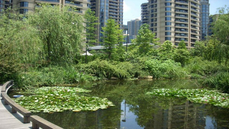 绿城春江花月,钱江路158号-杭州绿城春江花月二手房,租房,房价-杭州