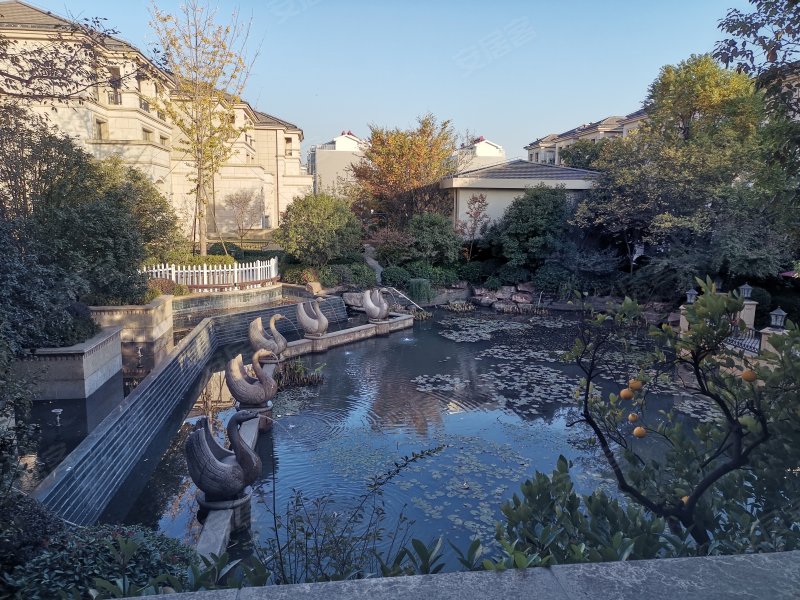 南山浅水湾(别墅)