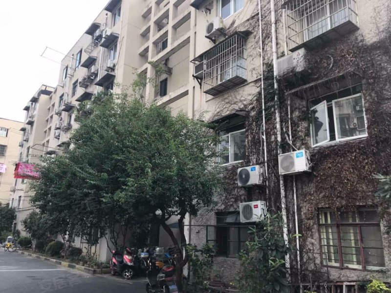 胶东路657弄小区 