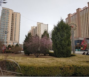 朝阳锦城