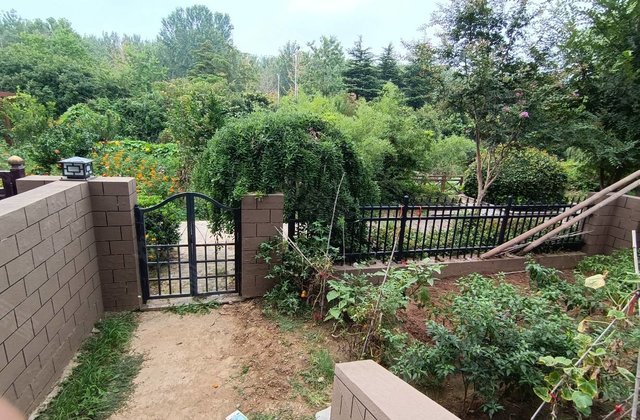 徐州房产网>徐州小区>邳州小区>福州路小区>凤凰墅(一期别墅)>