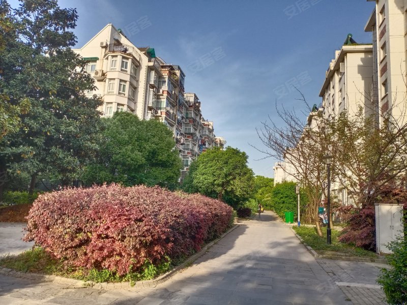 钢城花园,湖西中路,近印山西路-马鞍山钢城花园二手房,租房,房价