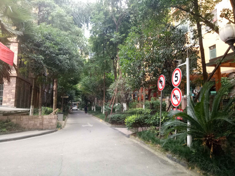 乌龙江大道上街段图片