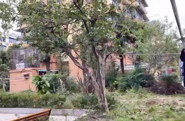 双城路650弄小区