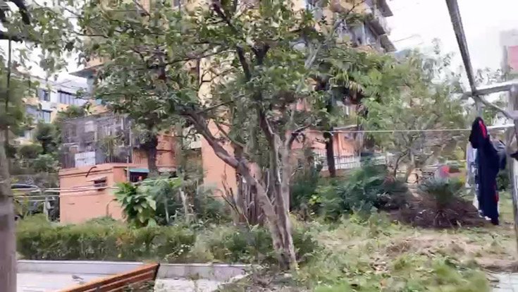 双城路650弄小区 