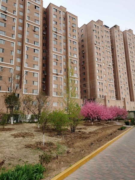 祥和园小区,南环路-承德祥和园小区二手房,租房,房价-承德安居客