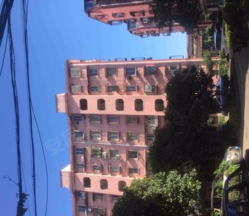 红梅新村(131弄)