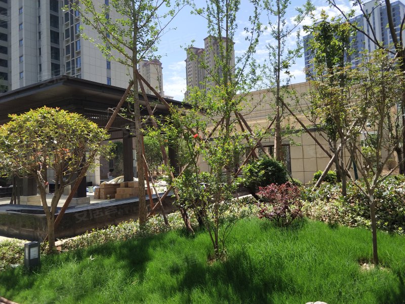 东襄华府,航空路209号-襄阳东襄华府二手房,租房,房价-襄阳安居客