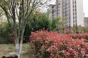顺达玫瑰园,青通路,近太平路 - 池州顺达玫瑰园二手房,租房,房价-池州