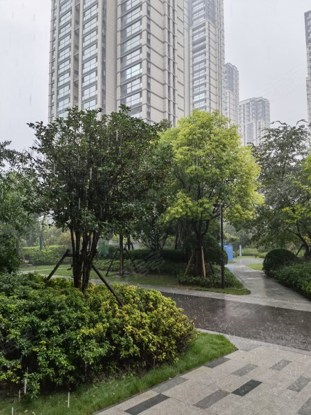 永威枫香庭东院