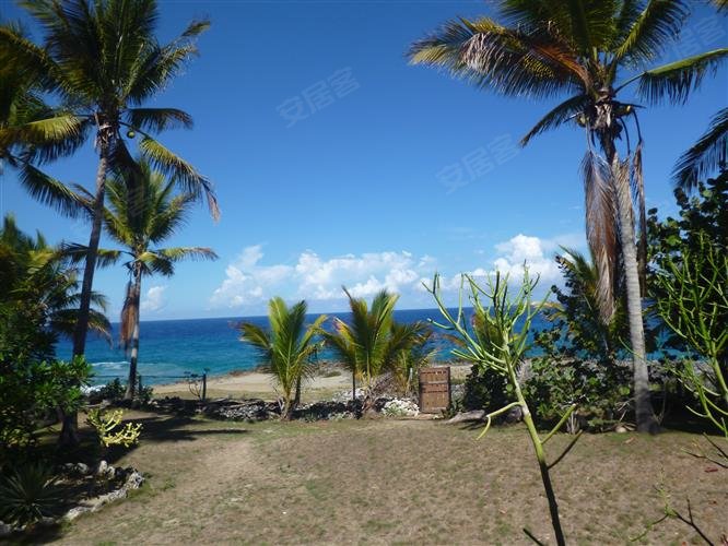 多米尼加约¥387万壮观的海洋前别墅索苏阿二手房公寓图片