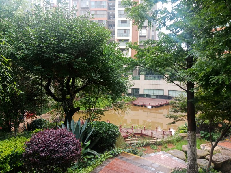 鑫益龙江雅苑,北京路2196号-达州鑫益龙江雅苑二手房,租房,房价-达州