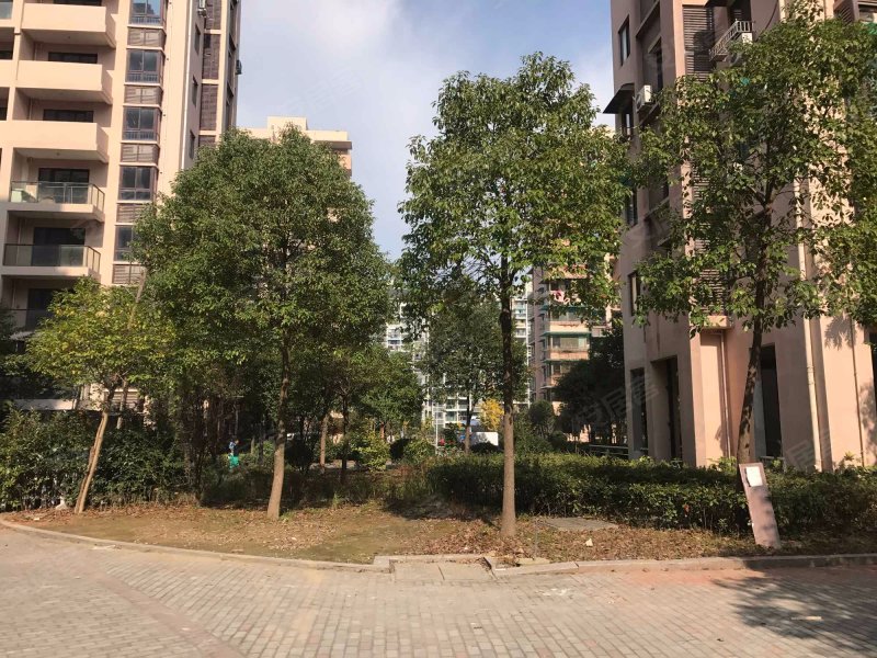 瑶溪住宅区二组团,首辅路,近孚敬路-温州瑶溪住宅区二组团二手房,租房