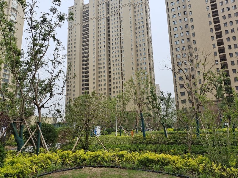 金色兰庭香堤
