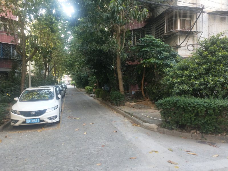 金侨花园,衡山路-汕头金侨花园二手房,租房,房价-汕头安居客