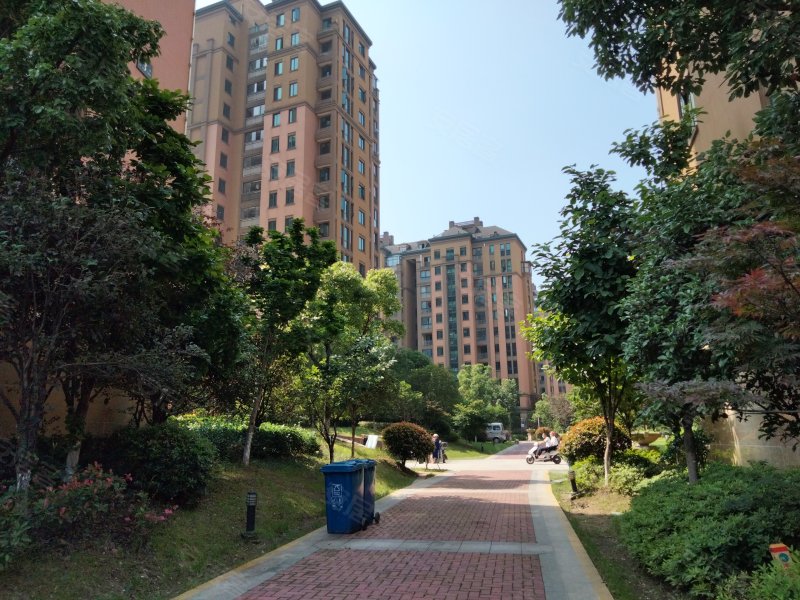 绿洲桂花城,临湖路1号-池州绿洲桂花城二手房,租房,房价-池州安居客