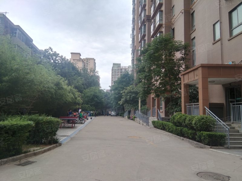 常春藤花园(北区),兴庆南路-西安常春藤花园(北区)二手房,租房,房价