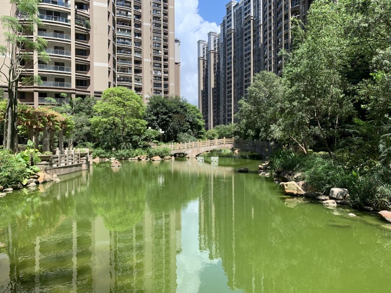 合信星湖城,金砂东路179号-汕头合信星湖城二手房,租房,房价-汕头安居