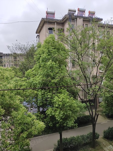 江南新村,玉兰大道1号-合肥江南新村二手房,租房,房价-合肥安居客