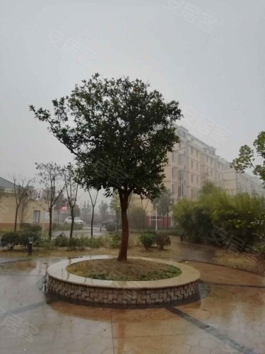 金东花园,永吉路 - 泰州金东花园二手房,租房,房价-泰州安居客