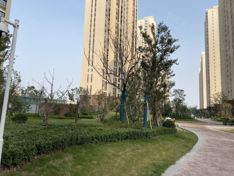 森林半岛(南区),一大街-开封森林半岛(南区)二手房,租房,房价-开封