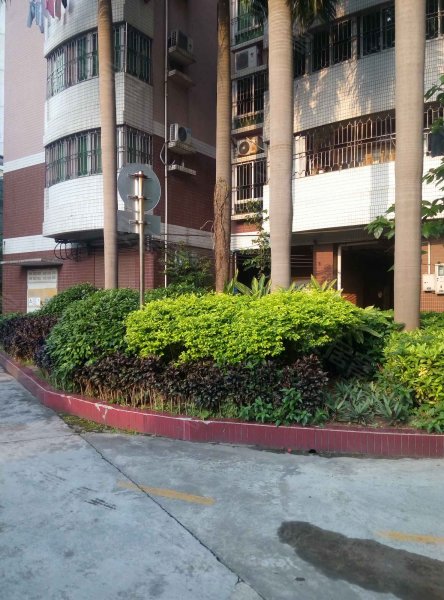 东莞庄工商局宿舍