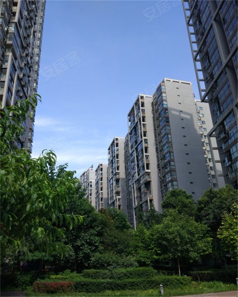 华城国际,长安南路82号-西安华城国际二手房,租房,房价-西安安居客