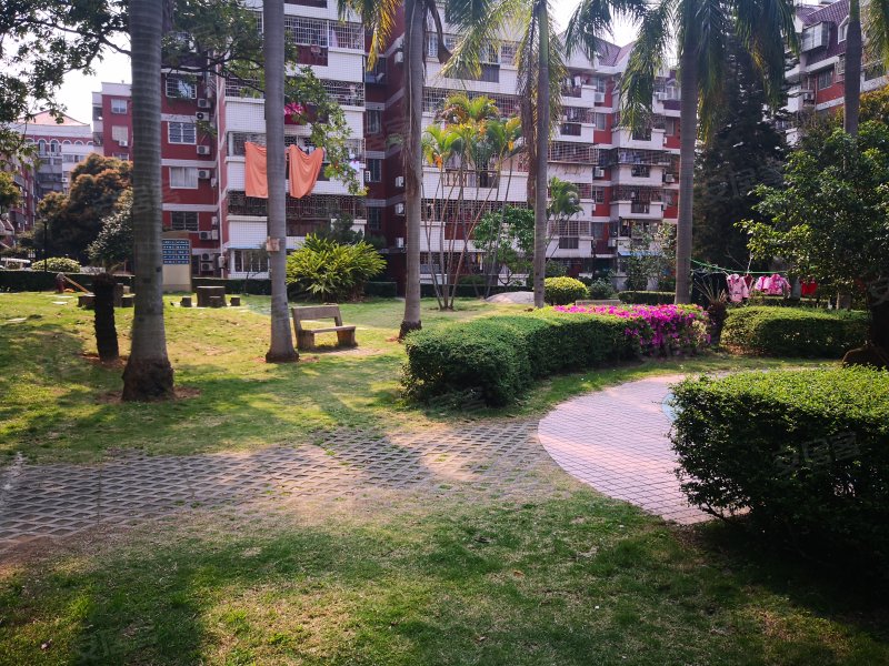 芙蓉苑,嘉园路41,207-273,277-317号-厦门芙蓉苑二手房,租房,房价