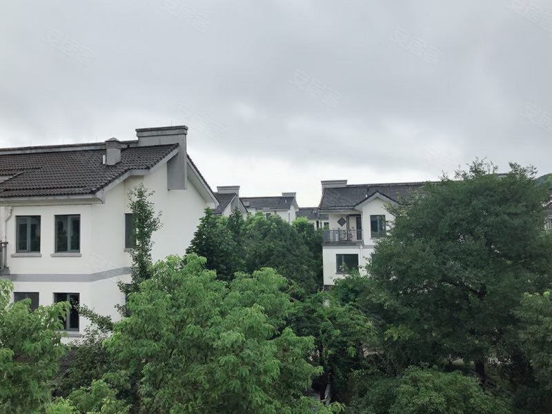 双溪竹海雅苑(别墅)