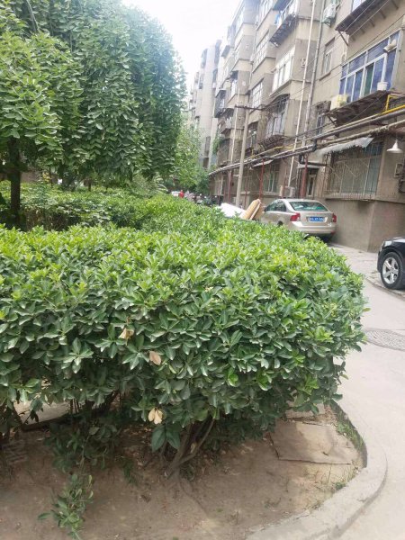 唐苑小区,崇业路3号-西安唐苑小区二手房,租房,房价-西安安居客