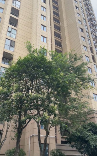 水清木华园2室2厅1卫