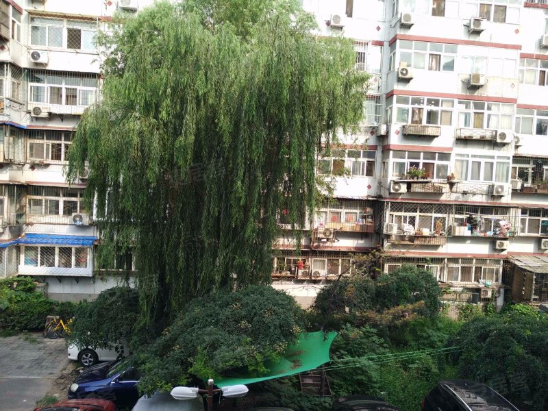 左家庄东里,左家庄东街-合肥左家庄东里二手房,租房,房价-合肥安居客