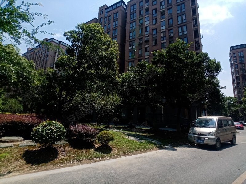 东方绿洲