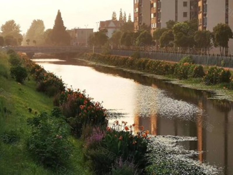 陈行街17弄小区 