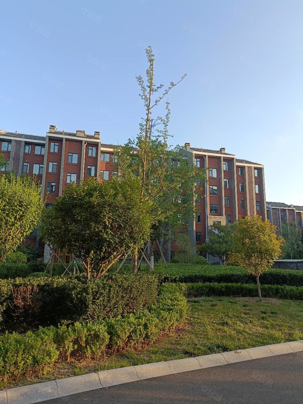 鸿嘉星城观澜甲第3室2厅1卫110㎡南125万