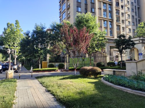 孔雀城大卫城(五期),北外环路 - 固安孔雀城大卫城(五期)二手房,租房