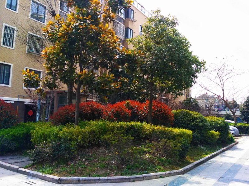 瑞莲福第清莲苑