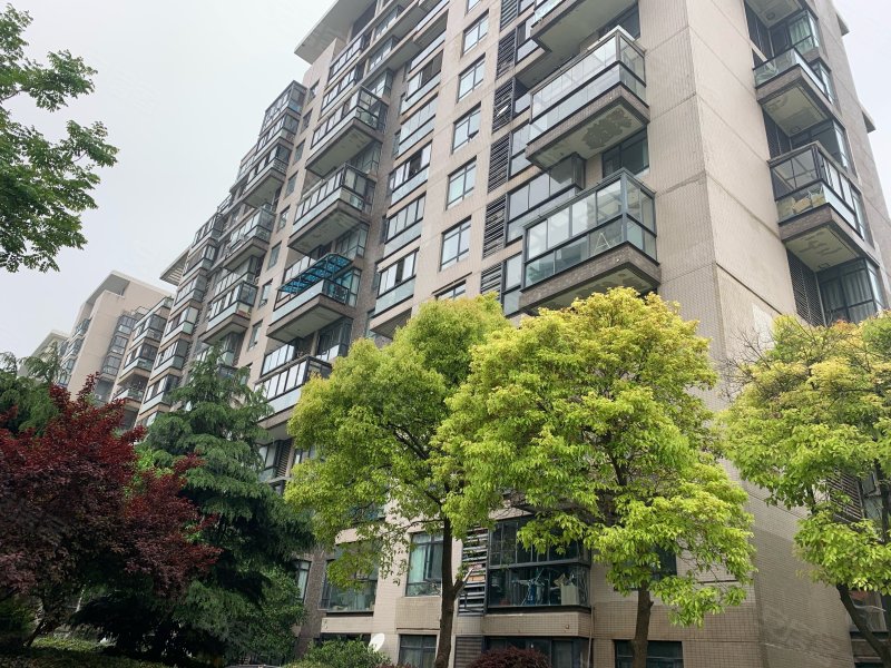 中大九里德(一期)