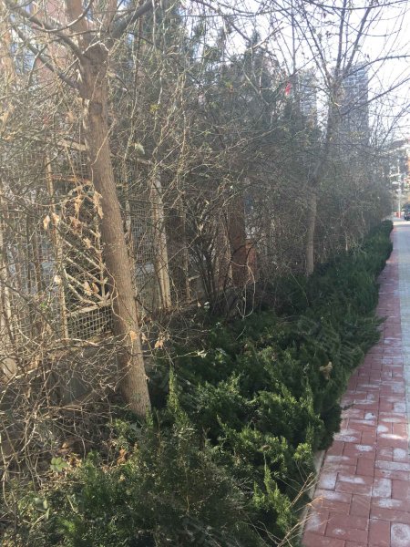 春天花园,黄海路28号-威海春天花园二手房,租房,房价-威海安居客