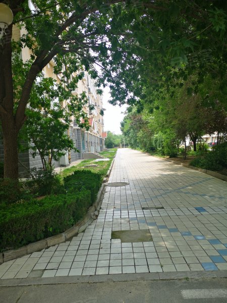 怡和家园,南一路286号-东营怡和家园二手房,租房,房价-东营安居客