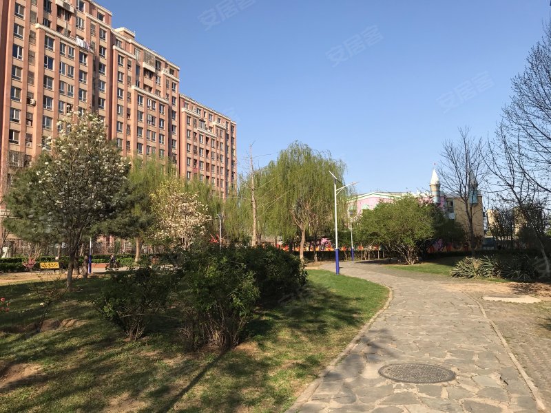 万年花城玫瑰碗(万年花城三期)