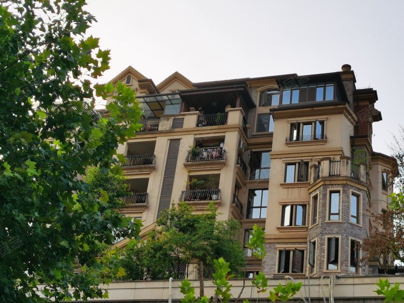 中渝梧桐郡(a区)