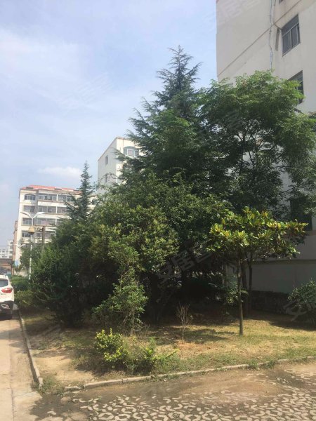 台东花园,海王路146号-青岛台东花园二手房,租房,房价-青岛安居客