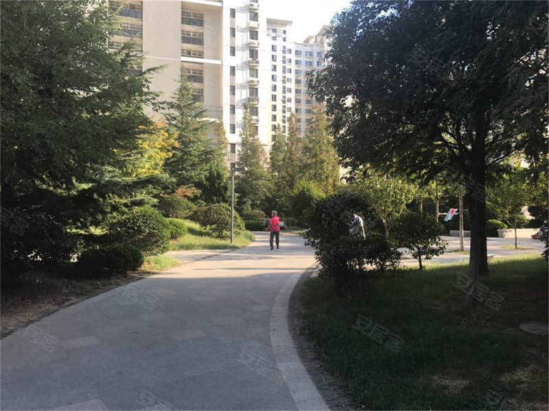 青建橄榄城,海尔路31号-青岛青建橄榄城二手房,租房,房价-青岛安居客