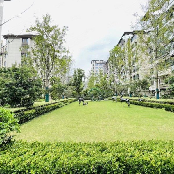 伟星国宾台,望江西路198号-合肥伟星国宾台二手房,租房,房价-合肥安居