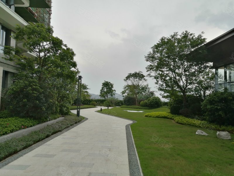 德商樾玺,永安二路,金日华路-中山德商樾玺二手房,租房,房价-中山安居