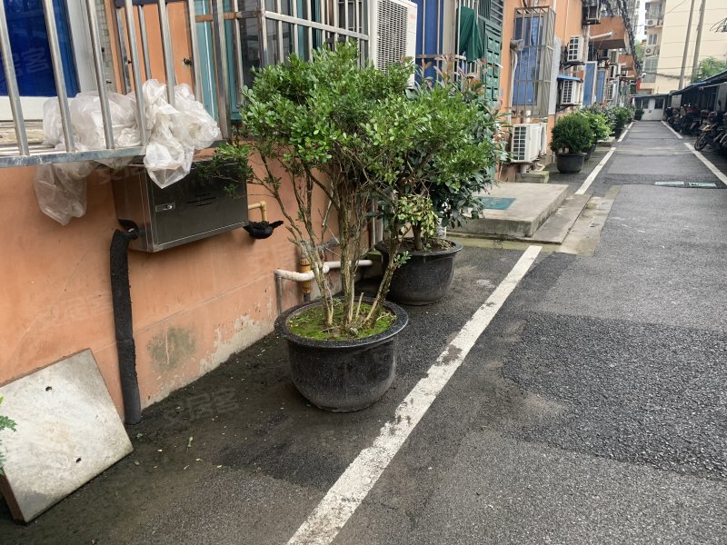 塔城东路492弄小区 